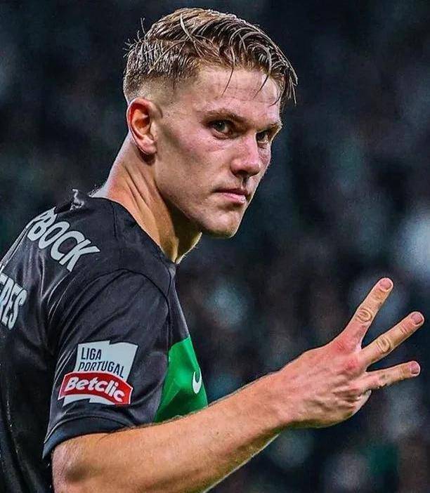 哲凯赖什身体优势不再明显，他接球后容易丢失球权的简单介绍