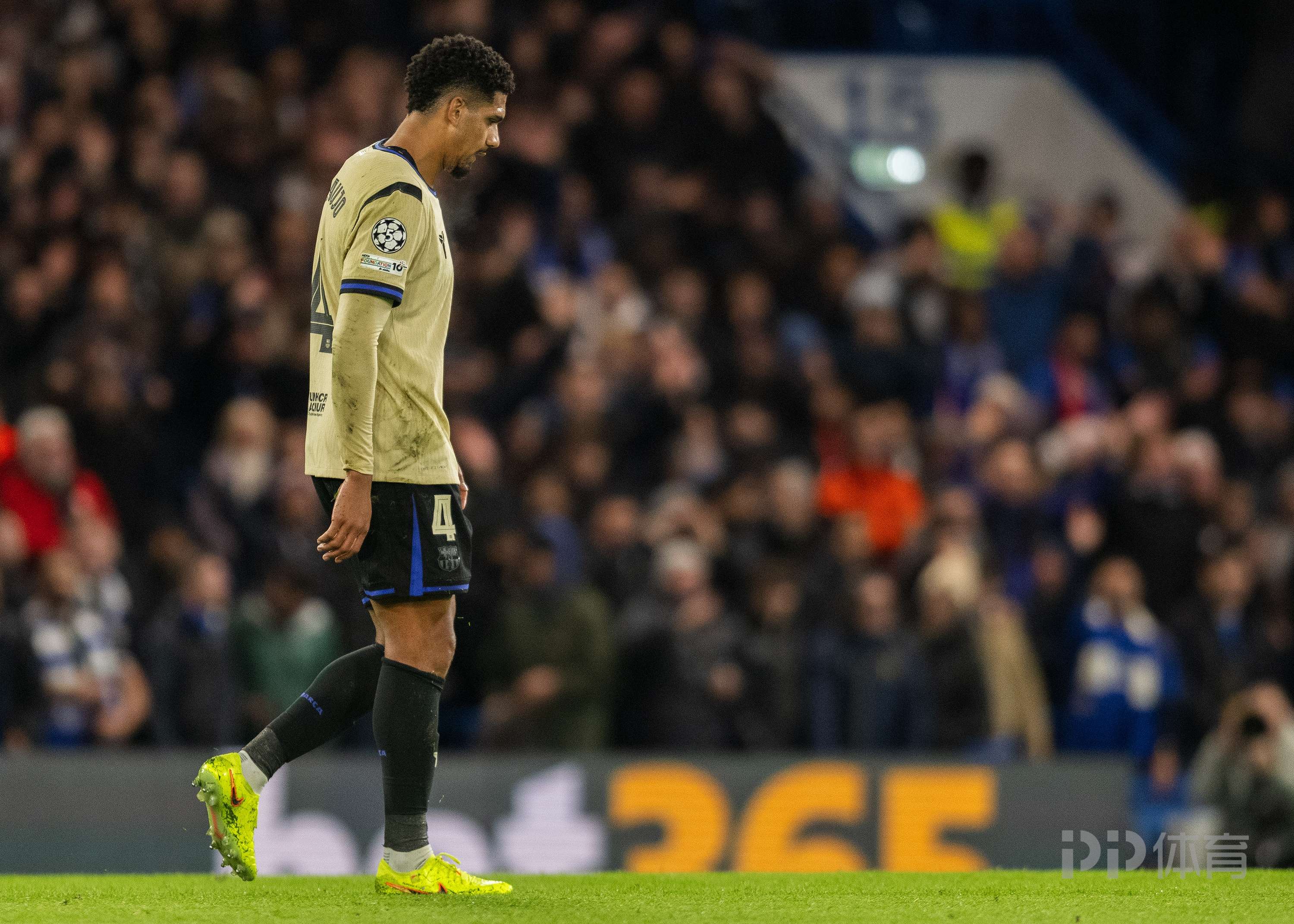 包含世体调查：37%巴萨会员希望出售德容，阿劳霍32%的词条