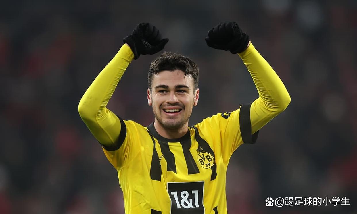 雷纳想去意甲，帕尔马报价600万欧&amp;多特的简单介绍