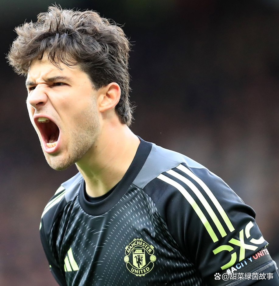 ESPN：曼联对拉莫斯不感兴趣，俱乐部不想再高薪签下大龄球星的简单介绍