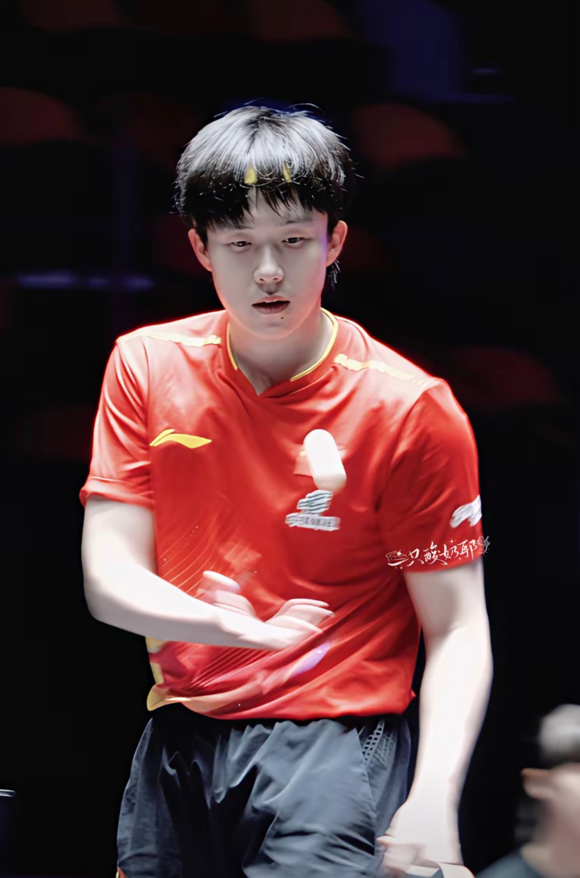 关于王楚钦最近两个冠军很有说服力，他已经是男队领军人物的信息