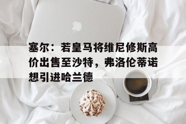 塞尔：若皇马将维尼修斯高价出售至沙特，弗洛伦蒂诺想引进哈兰德的简单介绍