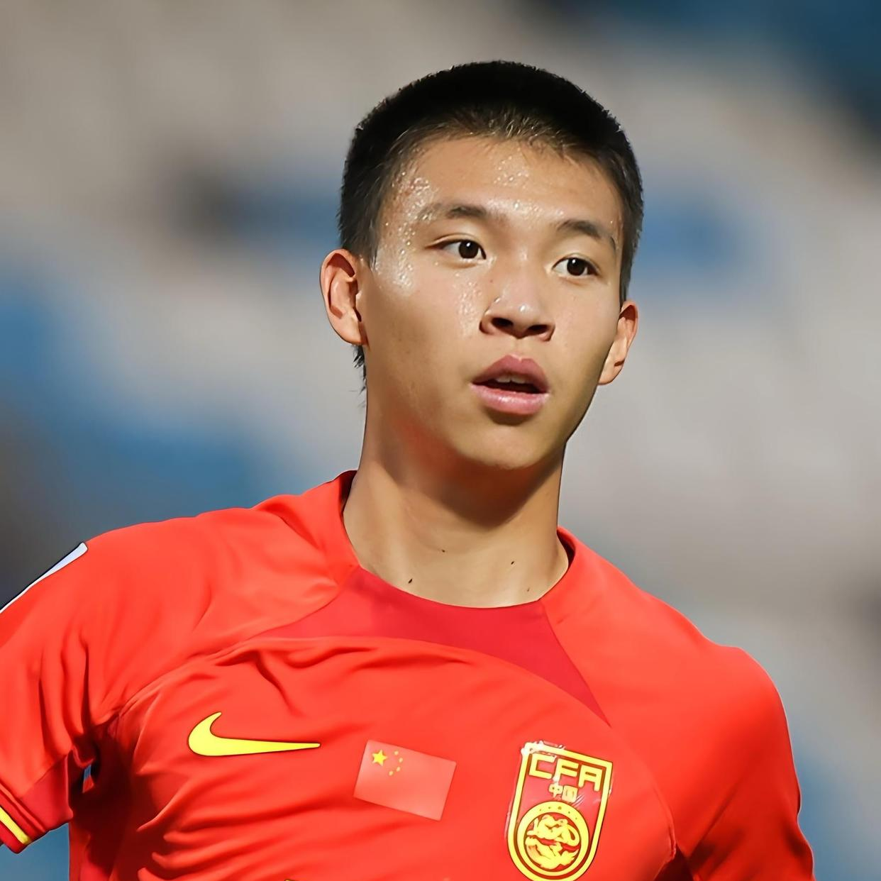 川崎亚冠申花看台斗殴嫌疑人已被逮捕并被的简单介绍