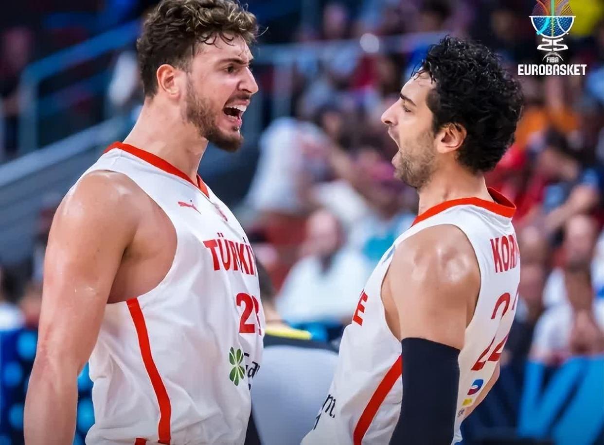 申京全场出战34分钟，12投8中得到20分6篮板6助攻2抢断1盖帽的简单介绍