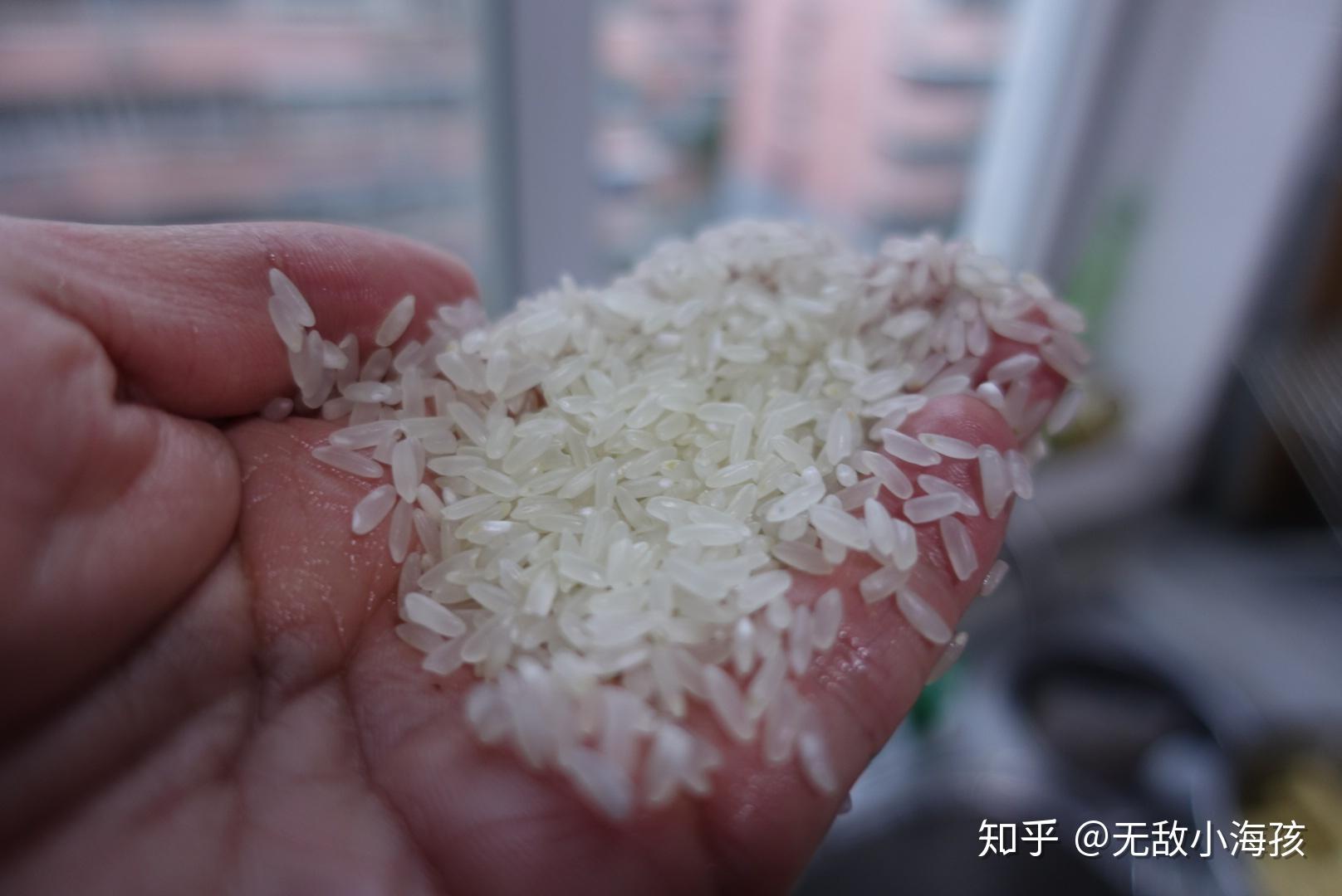 小海开播了回应米饭了！！！！！！！！！！的简单介绍