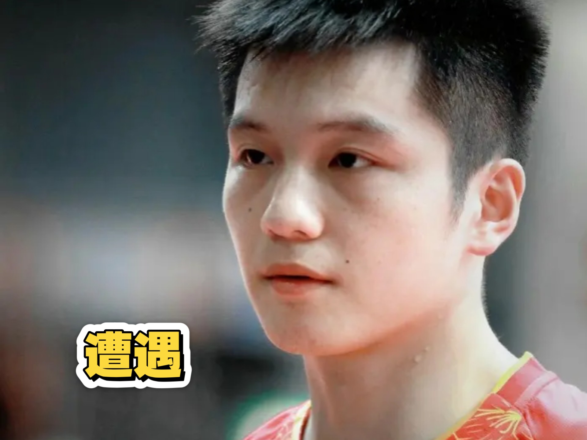 3倍薪资+1支私队！张本智和空降德甲，真为追樊振东？的简单介绍