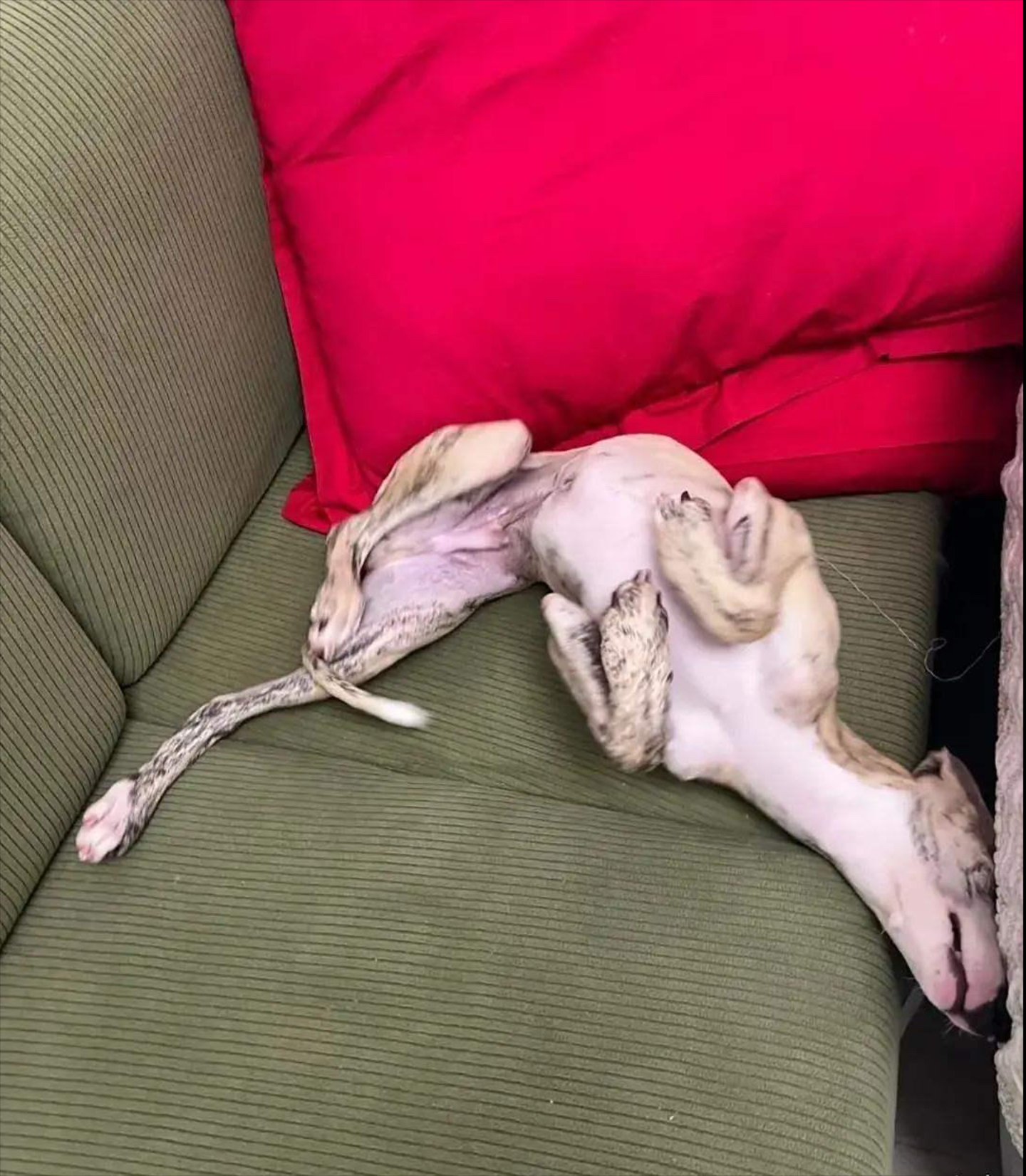 这是咋了?阿森纳突然变天主力新援连3场英超枯坐板凳的简单介绍 这是咋了?阿森纳突然变天主力新援连3场英超枯坐板凳的简单介绍